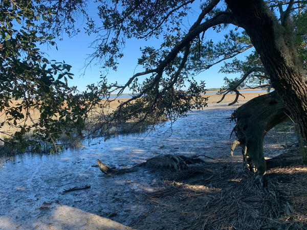 View of Stono River from site of camp