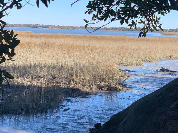 View of Stono River from site of camp